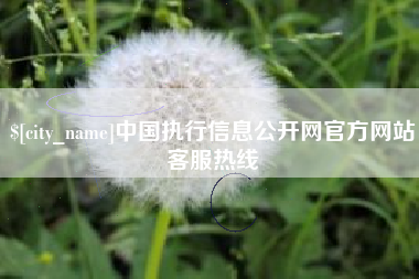 大丰中国执行信息公开网官方网站客服热线