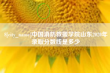 大丰中国消防救援学院山东2020年录取分数线是多少