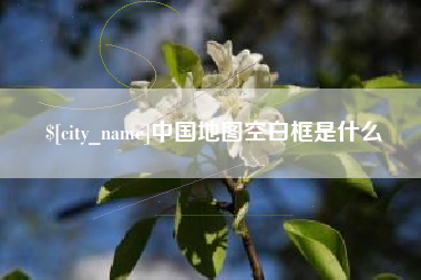 大丰中国地图空白框是什么