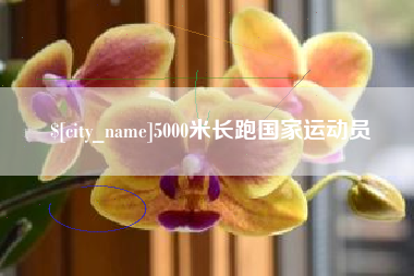 大丰5000米长跑国家运动员