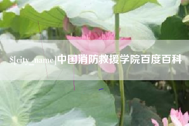 大丰中国消防救援学院百度百科