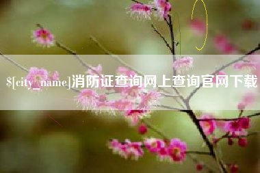 大丰消防证查询网上查询官网下载
