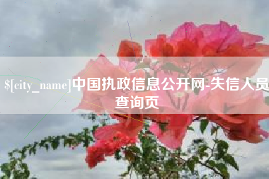 大丰中国执政信息公开网-失信人员查询页