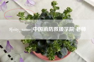 大丰中国消防救援学院 老师