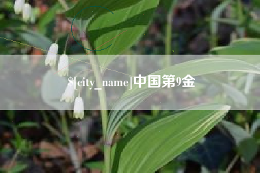 大丰中国第9金