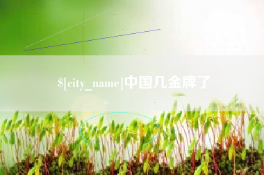 大丰中国几金牌了
