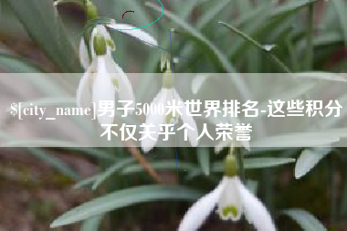 大丰男子5000米世界排名-这些积分不仅关乎个人荣誉