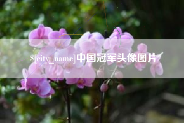 大丰中国冠军头像图片
