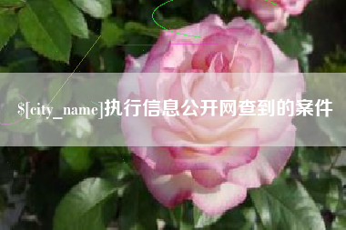 大丰执行信息公开网查到的案件