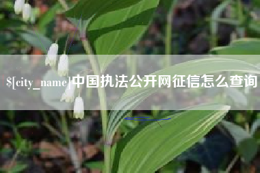 大丰中国执法公开网征信怎么查询