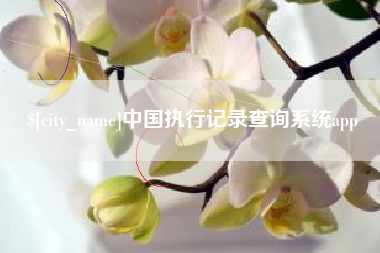 大丰中国执行记录查询系统app