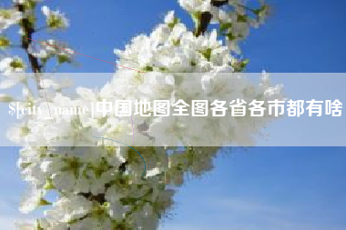 大丰中国地图全图各省各市都有啥