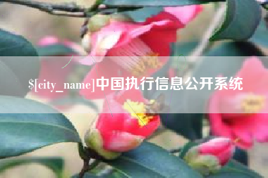 大丰中国执行信息公开系统
