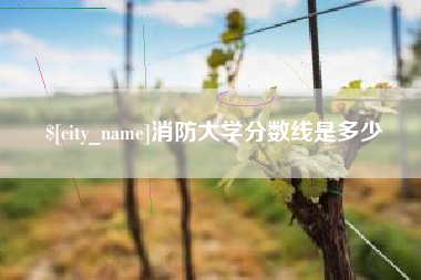 大丰消防大学分数线是多少