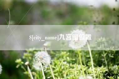 大丰九宫图位置