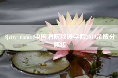 大丰中国消防救援学院2019录取分数线