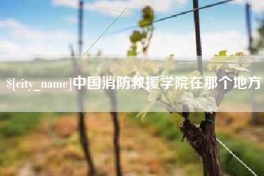 大丰中国消防救援学院在那个地方