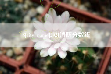 大丰2021消防分数线