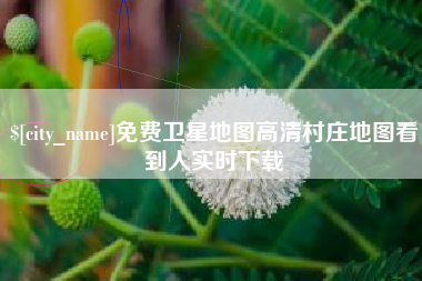 大丰免费卫星地图高清村庄地图看到人实时下载