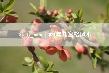 大丰2021年九宫格风水