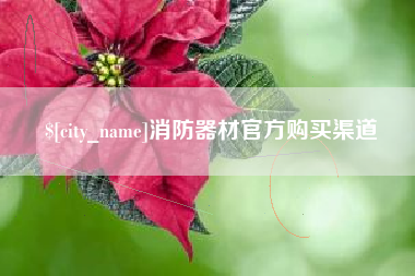大丰消防器材官方购买渠道