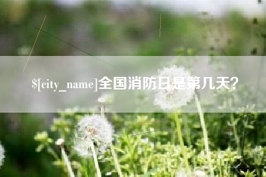 大丰全国消防日是第几天？