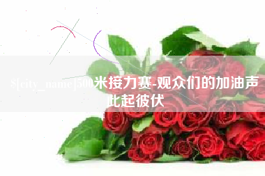 大丰500米接力赛-观众们的加油声此起彼伏