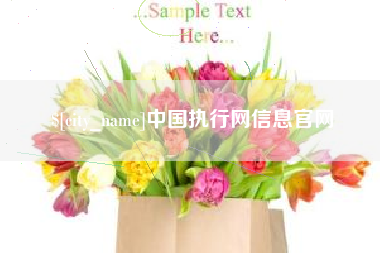 大丰中国执行网信息官网