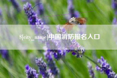 大丰中国消防报名入口
