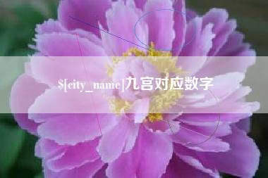 大丰九宫对应数字