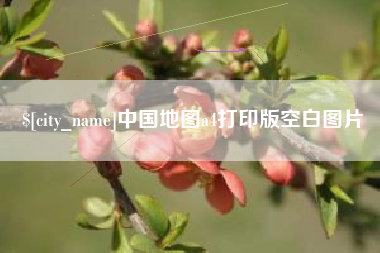 大丰中国地图a4打印版空白图片