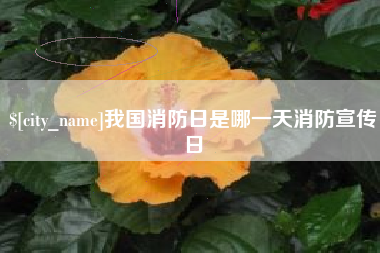 大丰我国消防日是哪一天消防宣传日