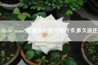 大丰诈骗冻结对方银行卡,多久返还