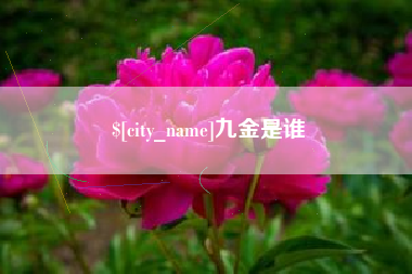 大丰九金是谁