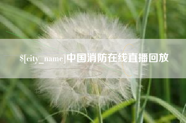 大丰中国消防在线直播回放