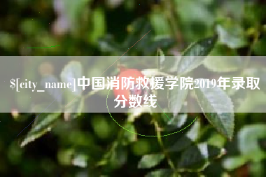 大丰中国消防救援学院2019年录取分数线