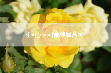 大丰金牌图片2021