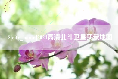 大丰2024高清北斗卫星实景地图