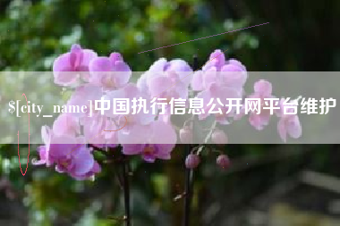 大丰中国执行信息公开网平台维护