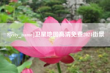 大丰卫星地图高清免费2024街景