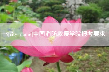 大丰中国消防救援学院报考要求