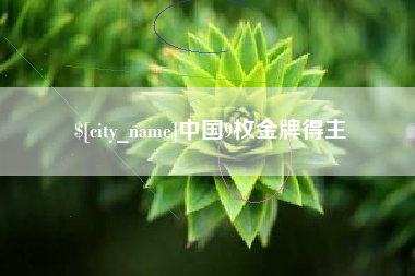 大丰中国9枚金牌得主