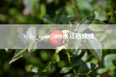 大丰5000米及格成绩