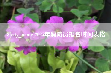 大丰2025年消防员报名时间表格