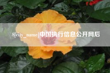 大丰中国执行信息公开网后