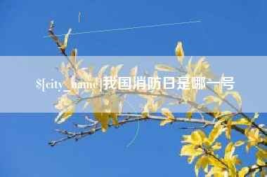 大丰我国消防日是哪一号