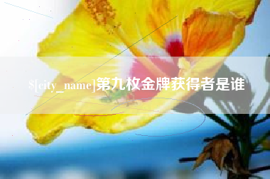 大丰第九枚金牌获得者是谁