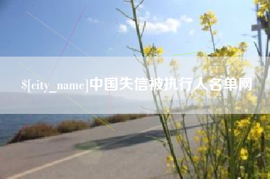 大丰中国失信被执行人名单网