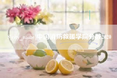 大丰中国消防救援学院分数2020