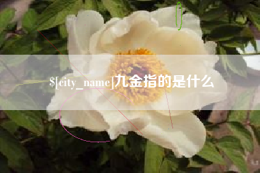 大丰九金指的是什么